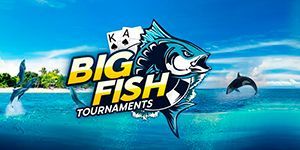 Новая серия регулярных турниров Big Fish с гарантией $100K ежедневно от 888 Покер