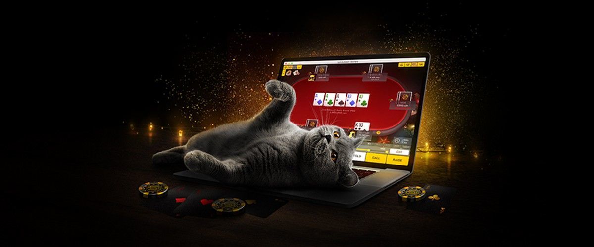 На PokerMatch пройдет новая серия с гарантией 12 миллионов гривен